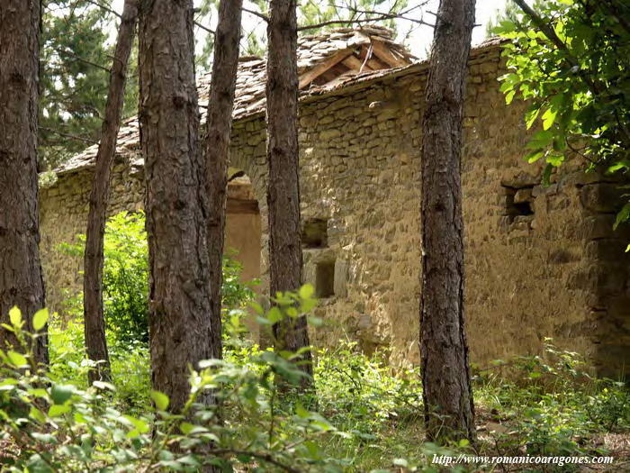 BOSQUE Y RUINAS